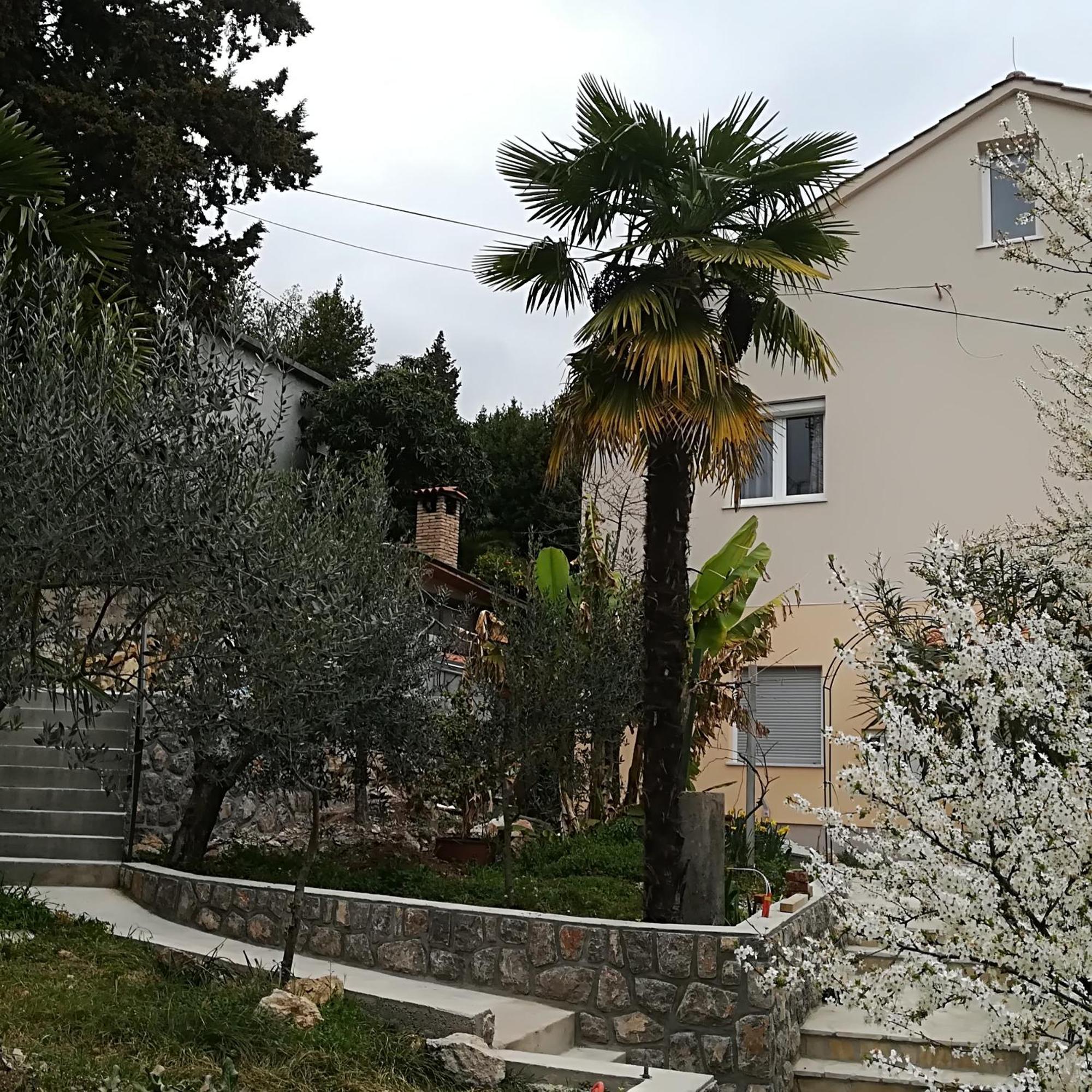 Apartment Panoramico